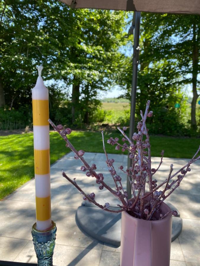 Luxe En Gezellig Chalet Aan Veluwemeer 4 Pers Hulshorst Zewnętrze zdjęcie