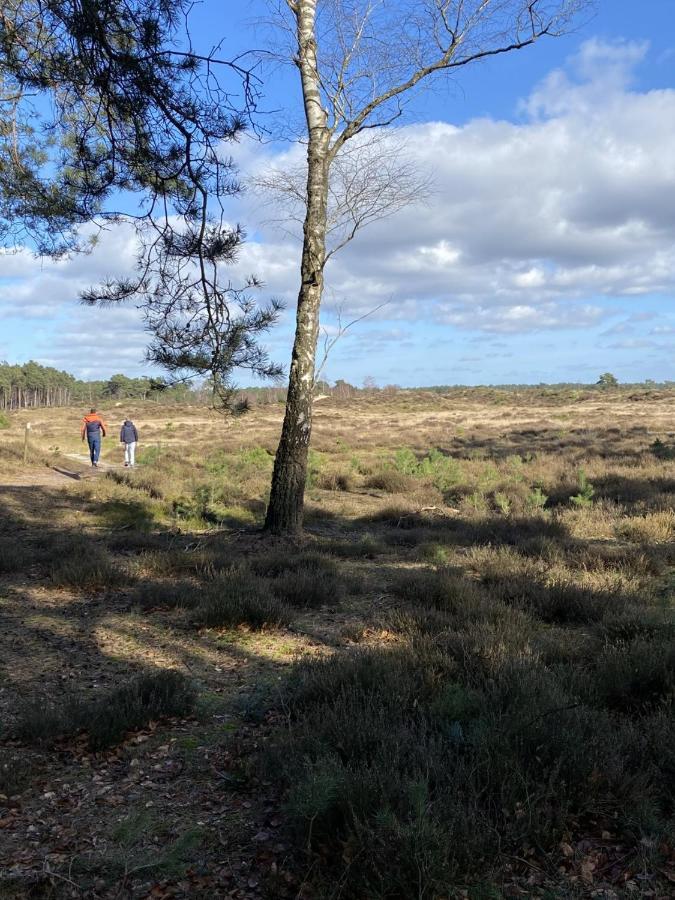 Luxe En Gezellig Chalet Aan Veluwemeer 4 Pers Hulshorst Zewnętrze zdjęcie