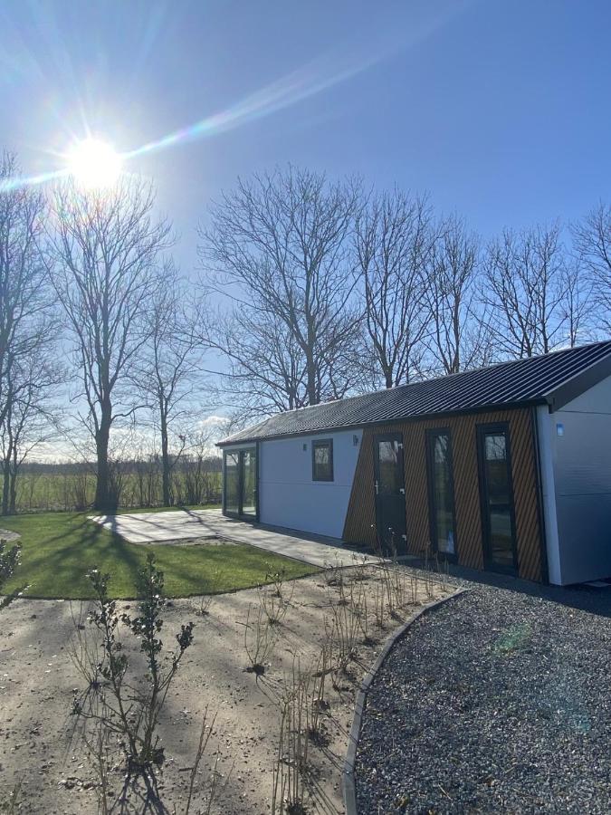 Luxe En Gezellig Chalet Aan Veluwemeer 4 Pers Hulshorst Zewnętrze zdjęcie