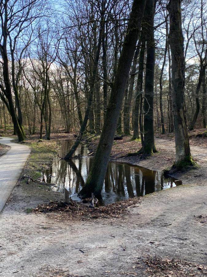 Luxe En Gezellig Chalet Aan Veluwemeer 4 Pers Hulshorst Zewnętrze zdjęcie